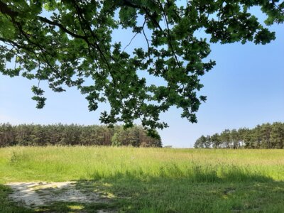 Wandern (Bild vergrößern)