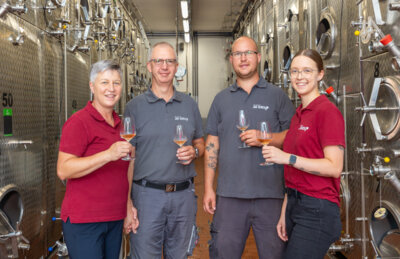 Veranstaltung: Elbtalliebe - Weingut Jan Ulrich