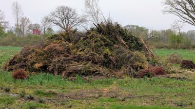 Das Brennmaterial fürs Osterfeuer liegt bereit (Bild vergrößern)