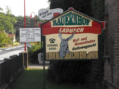 Foto zur Veranstaltung