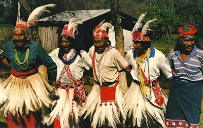 Tänzer: Tanz Sehe Ju-Unipji (dt.: Wir leben auf unserem Land), Paraguay Foto: B. Wegner