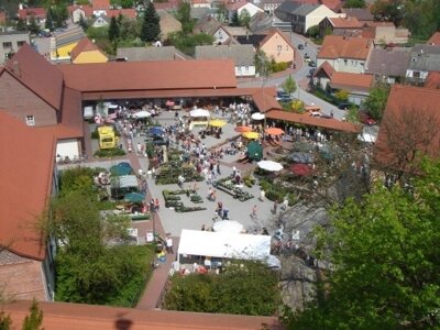 Blick auf den wuseligen Pflanzenmarkt, Foto: Helga Holz