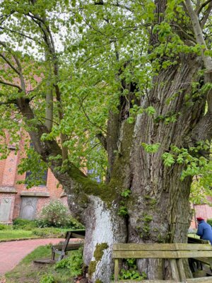 Dienstag: Isenhagen
