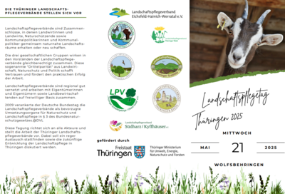 Flyer (Bild vergrößern)