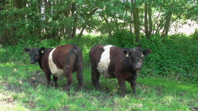 Foto zur Veranstaltung