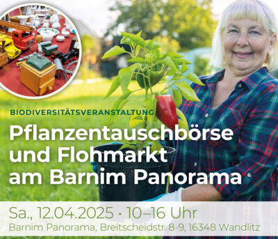 Pflanzentauschbörse und Flohmarkt