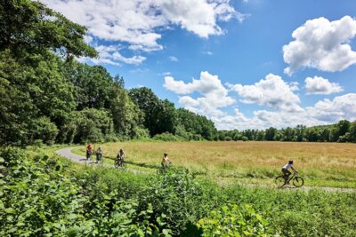 Radfahren im Frankenwald (c) Marco Felgenhauer (Bild vergrößern)