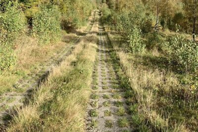 Kolonnenweg (c) Anja Wunder (Bild vergrößern)