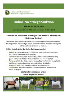 Flyer Online-Auktion 2025