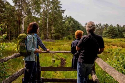 Wanderworkshop im Ahlenmoor