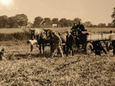 Foto zur Veranstaltung