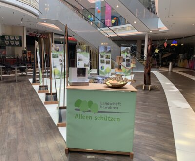 Foto zur Veranstaltung (Bild vergrößern)