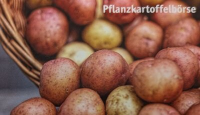 Foto zur Veranstaltung (Bild vergrößern)