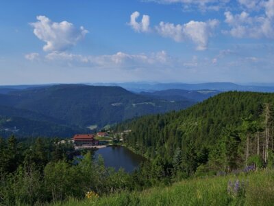 Foto zur Veranstaltung (Bild vergr&ouml;&szlig;ern)