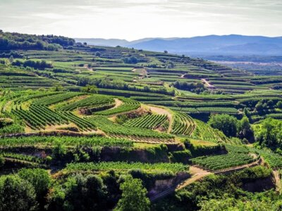 Foto zur Veranstaltung (Bild vergr&ouml;&szlig;ern)