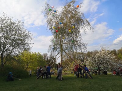 Maibaum aufstellen - Trebitz