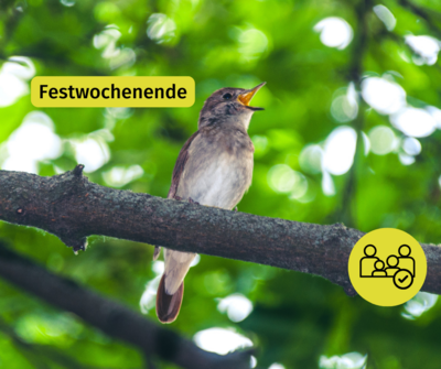 Foto zur Veranstaltung (Bild vergrößern)