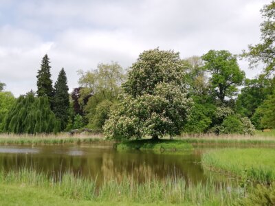 Harmonie, aber auch Kontraste bestimmen das Charkter des Parks. Foto: Andrea Jentsch