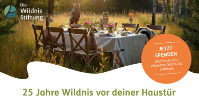 Foto zur Veranstaltung (Bild vergrößern)