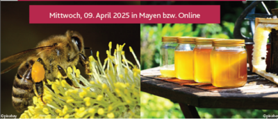 Mayen bzw. online (Bild vergrößern)