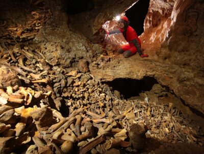 Veranstaltung: Forschungsgruppe Höhle und Karst Franken e.V. - Die Zoolithenhöhle bei Burggaillenreuth Sa 22. 03. 2025
