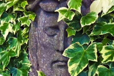 Veranstaltung: Fr&uuml;hlingserwachen im Gedenkgarten - Eine botanische F&uuml;hrung auf dem St. Trinitatis Friedhof