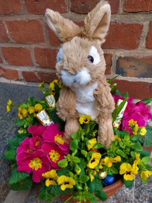 Foto: Rolandstadt Perleberg | Hase Hubert vor dem Stadt- und Regionalmuseum.