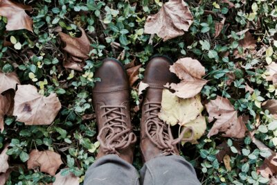 Foto: Melanie Kreutz /unsplash