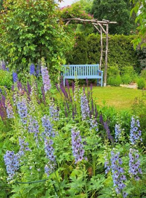 Veranstaltung: Gartenexkursion anlässlich der Offenen Gärten 2025 Sa 31. 05. 2025