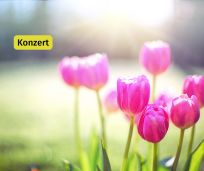 Foto zur Veranstaltung (Bild vergrößern)