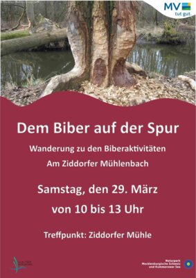 Foto zur Veranstaltung