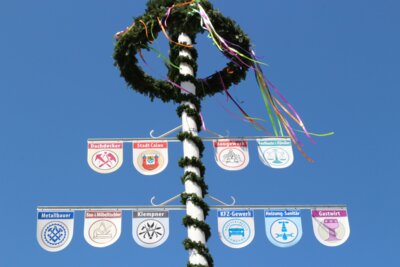 Traditionell sind am Calauer Maibaum die Gewerkezeichen der in der Stadt ansässigen Unternehmen angebracht. Foto: Stadt Calau / Jan Hornhauer