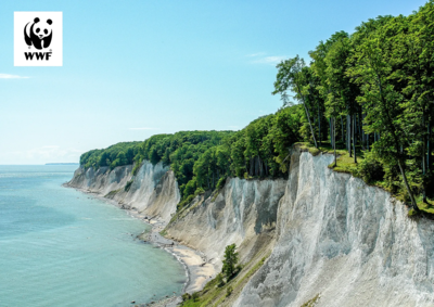 Nationalpark-Zentrum Königsstuhl (Bild vergrößern)