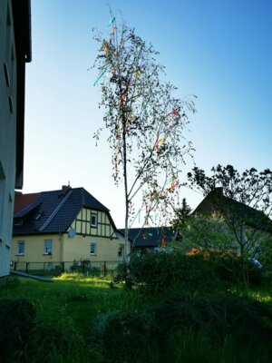 Maibaum in Gölsdorf