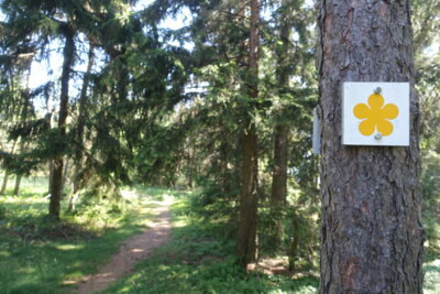 Kräuterlehrpfad (Bild vergrößern)