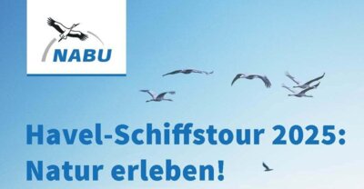 Foto zur Veranstaltung (Bild vergrößern)