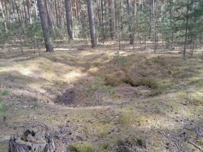 ein Bombentrichter im Wald (Bild vergrößern)