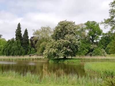 Harmonie, aber auch Kontraste bestimmen das Charkter des Parks. Foto: Andrea Jentsch (Bild vergrößern)