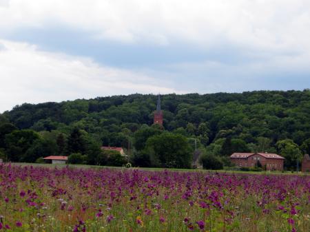 Veranstaltung: Yoga in Reitwein Do 22. 05. 2025