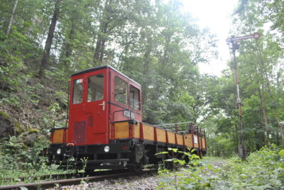 Museumsbahnzug am Einfahrsignal