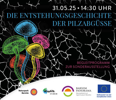 Foto zur Veranstaltung