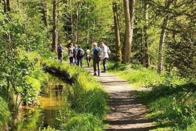 Floßgrabenwanderung mit dem Schneeberger Floßgrabensteiger (Bild vergrößern)