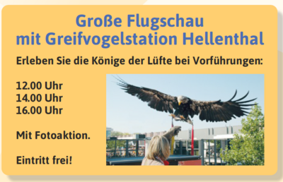 Foto zur Veranstaltung (Bild vergrößern)