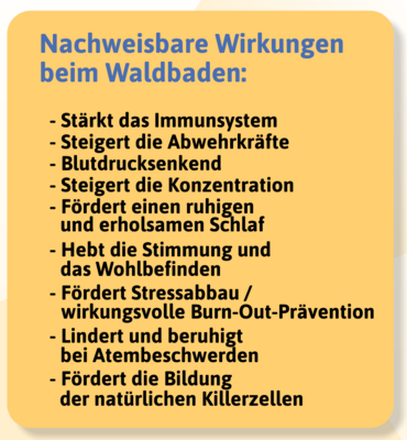 Veranstaltung: Waldbaden-Schnupperkurse Fr 16. 05. 2025