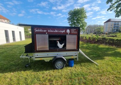 Veranstaltung: Die „Seddiner Wandervögel“ besuchen unsere Schule