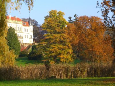 Foto zur Veranstaltung (Bild vergrößern)