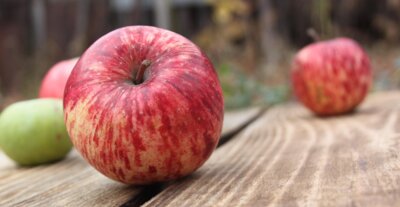 Äpfel auf einer Holzbank (Bild vergrößern)
