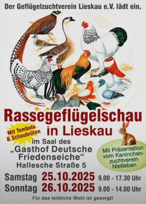 Foto zur Veranstaltung