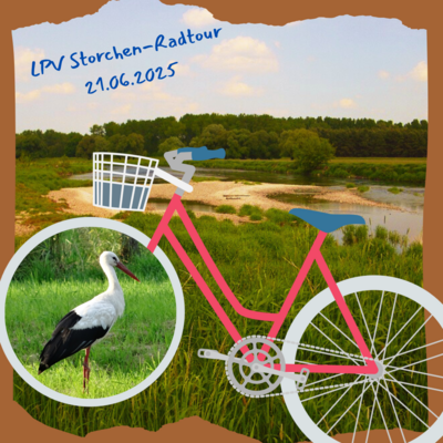 Veranstaltung: Storchen-Radtour durch die Muldeaue Sa 21. 06. 2025