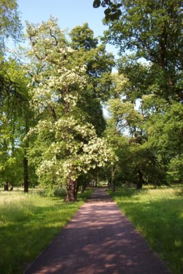 Veranstaltung: 3. bis 6. Mai 2026: URANIA-Wandertage So 03. 05. 2026